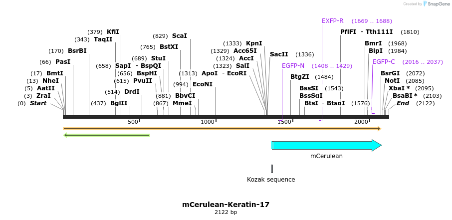 85783_map