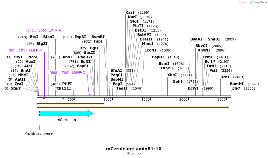 85784_map