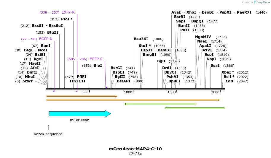 85787_map