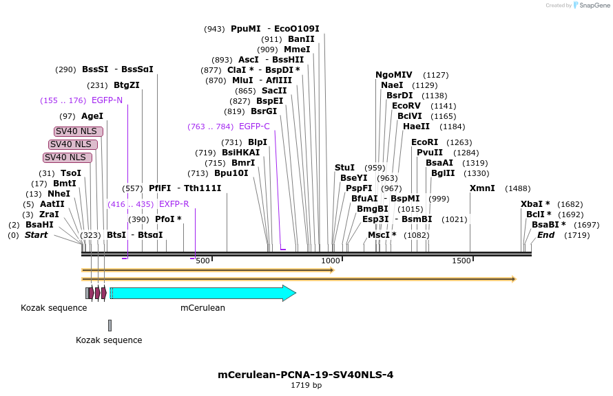 85790_map