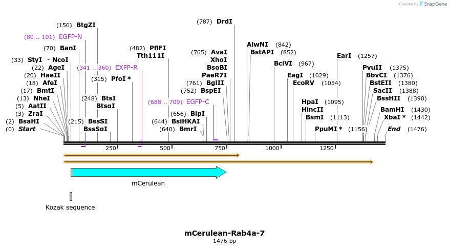 85791_map