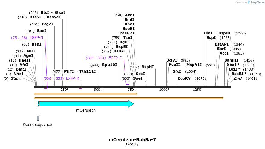 85792_map