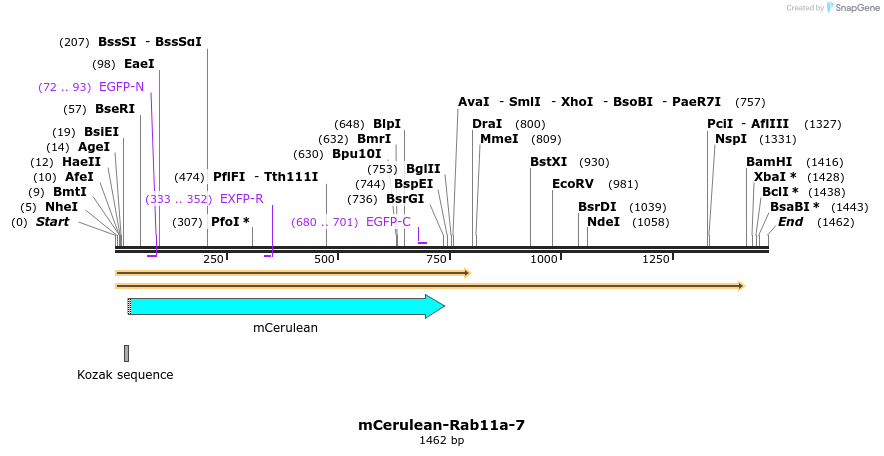85794_map