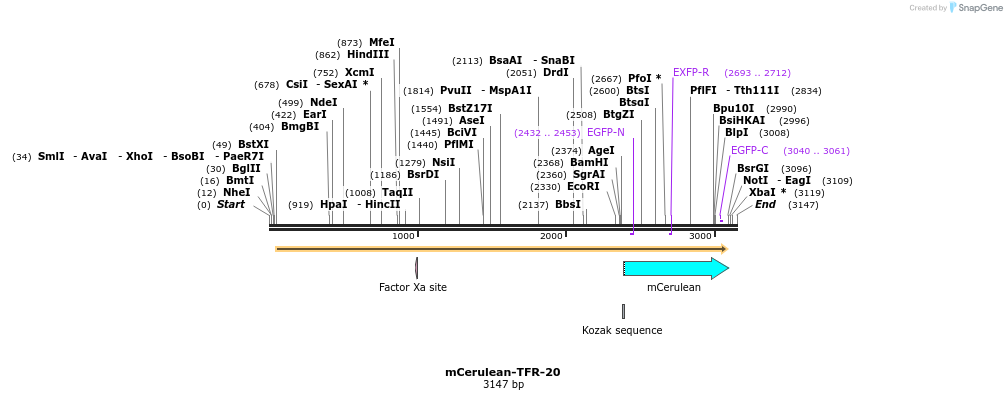 85795_map