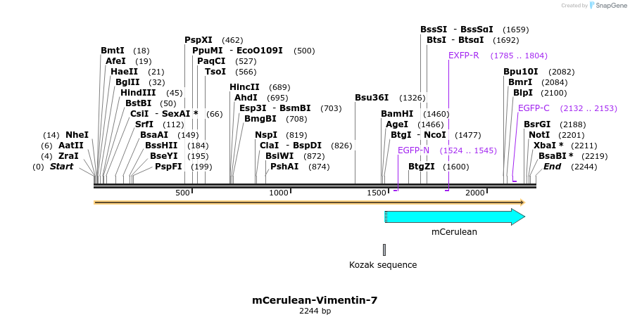 85799_map