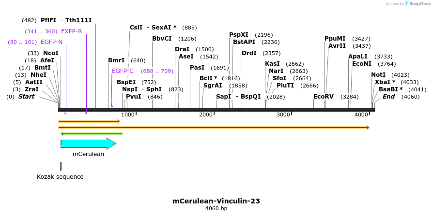 85800_map