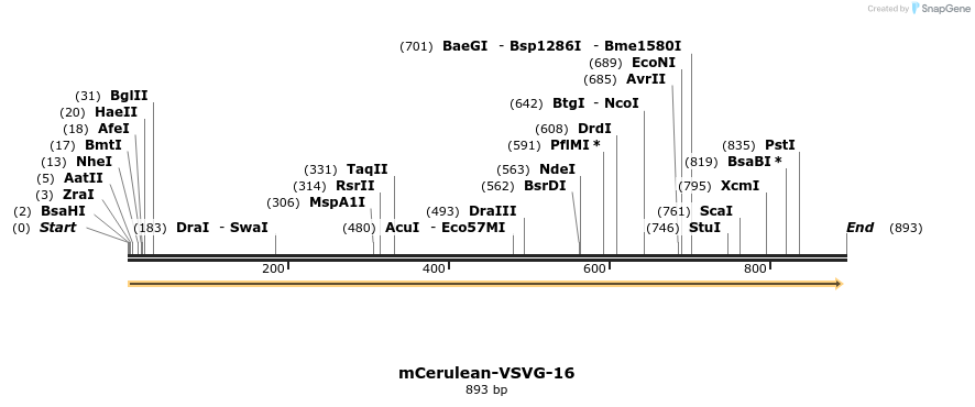 85801_map