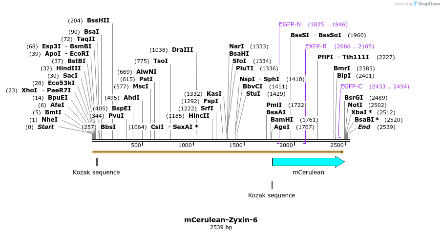 85803_map