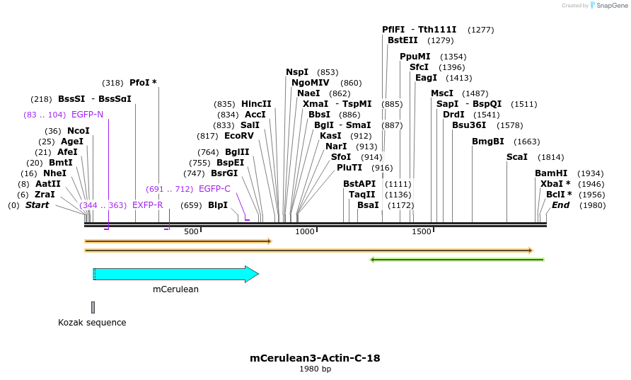 85805_map