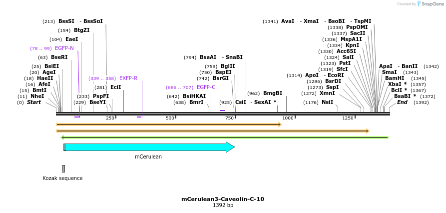 85810_map