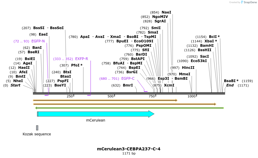 85813_map