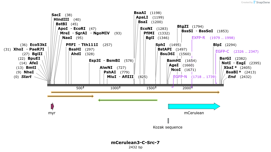 85815_map