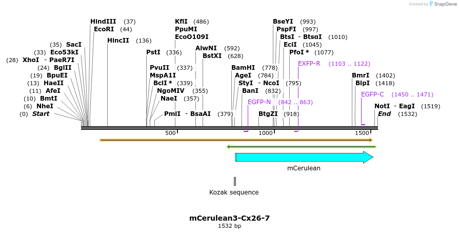 85816_map
