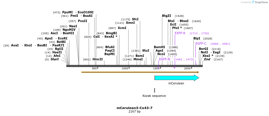 85817_map