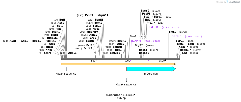 85822_map