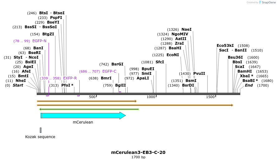85823_map