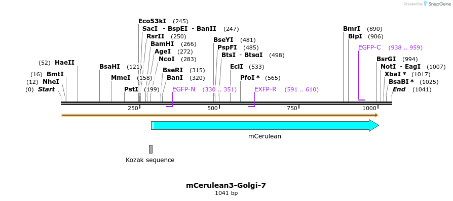 85826_map