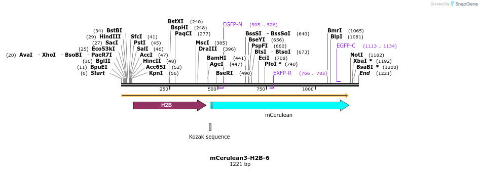85827_map