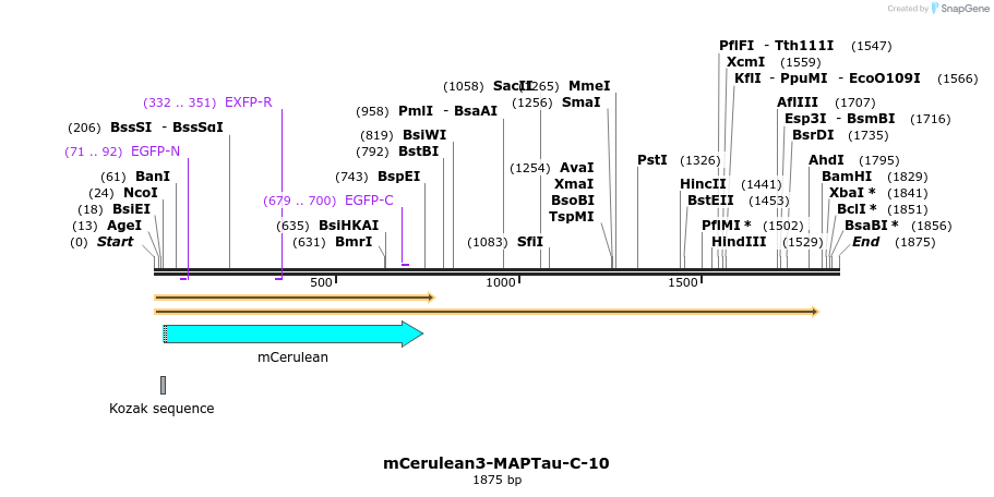 85836_map