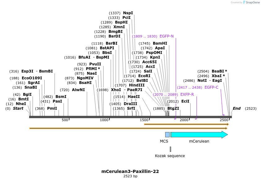 85841_map