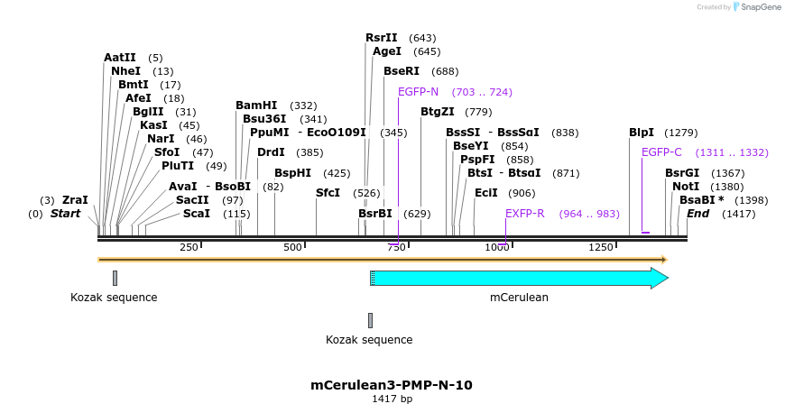 85844_map