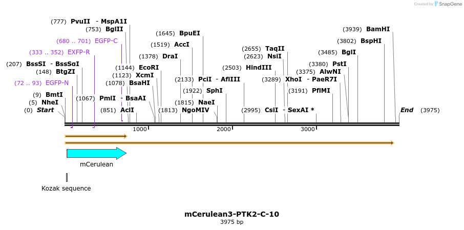 85846_map