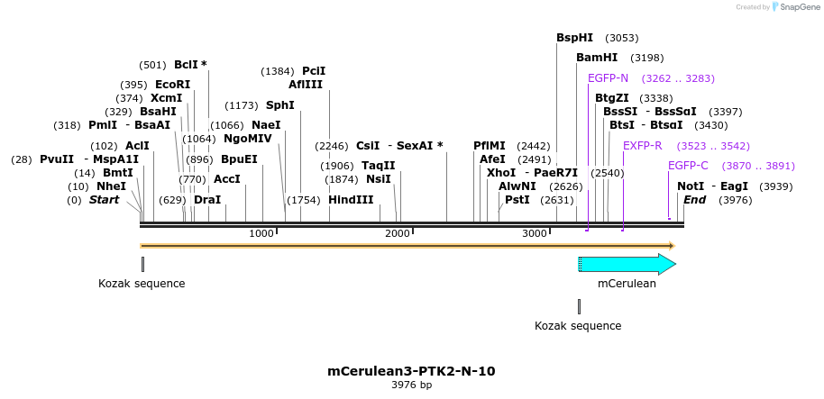 85847_map