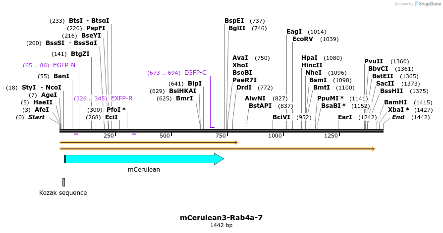 85848_map