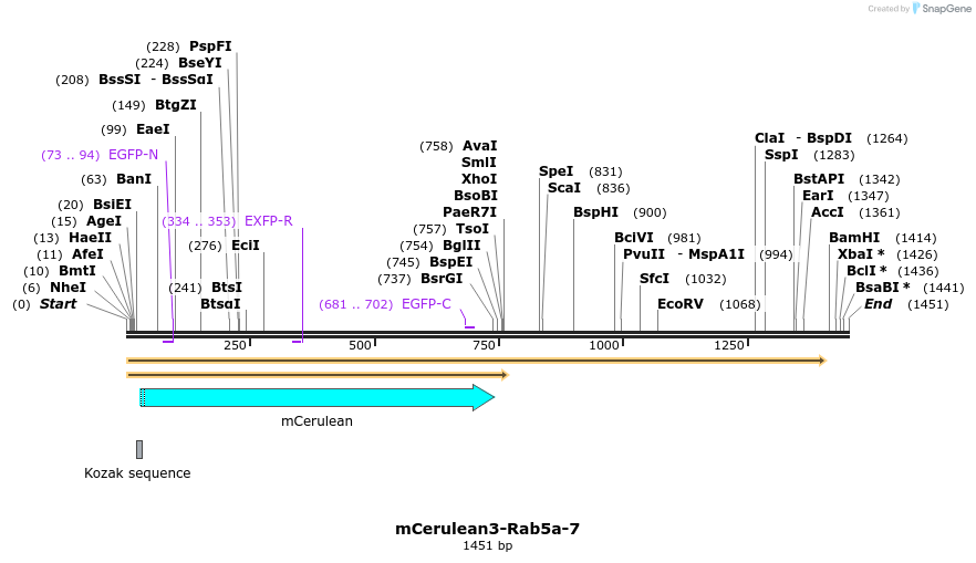 85849_map