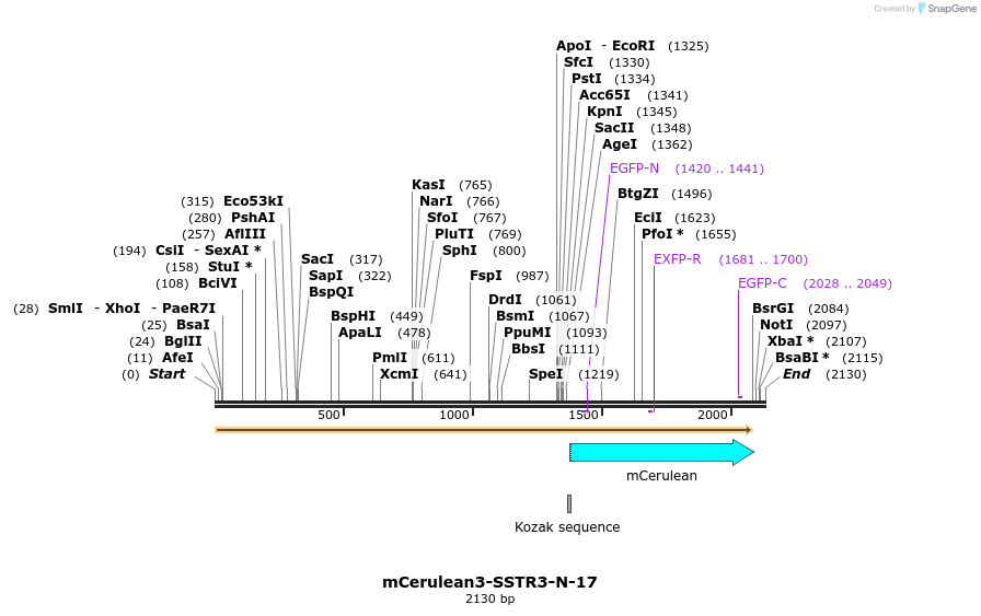 85851_map