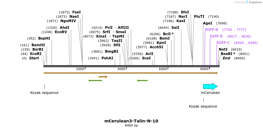 85853_map