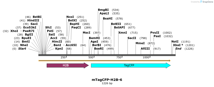 85861_map