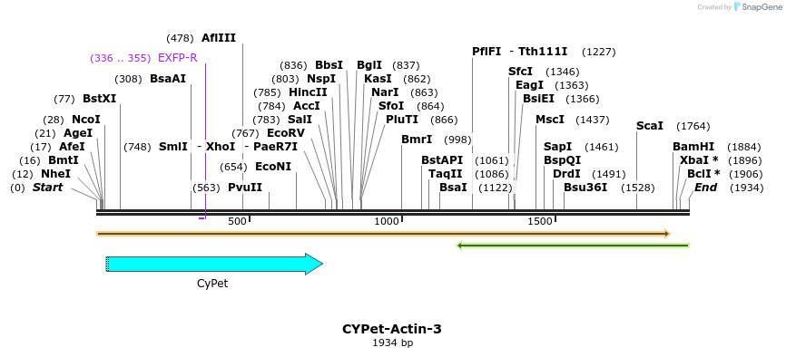 85864_map