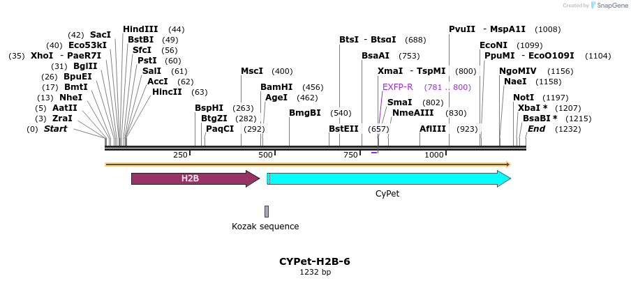 85866_map