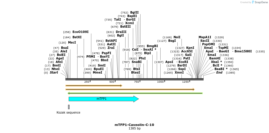 85874_map