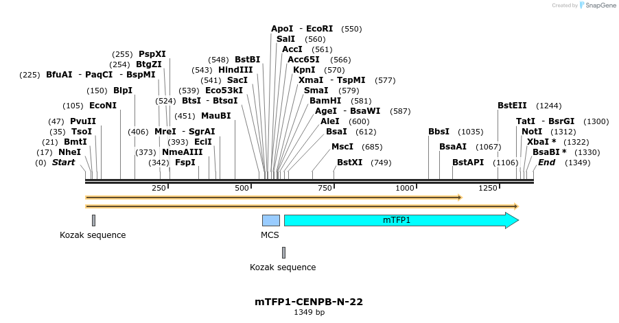 85876_map