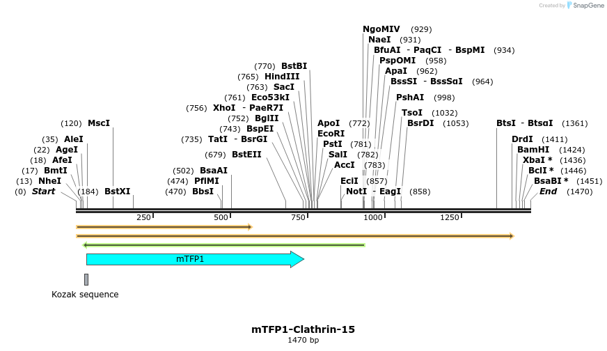 85877_map