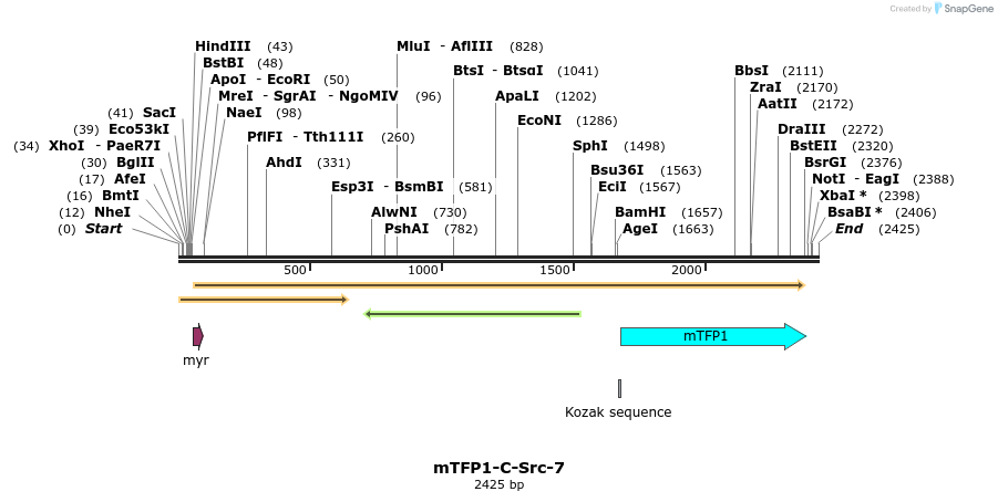 85878_map
