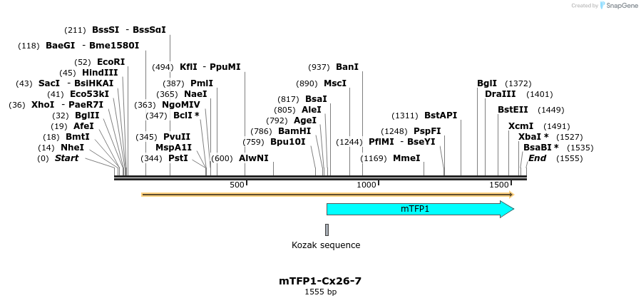 85879_map