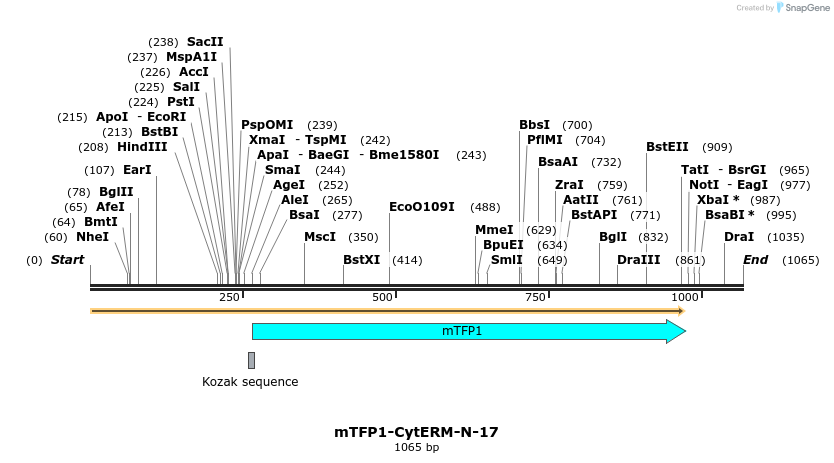 85882_map