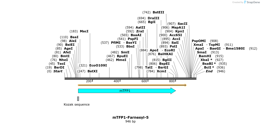 85887_map