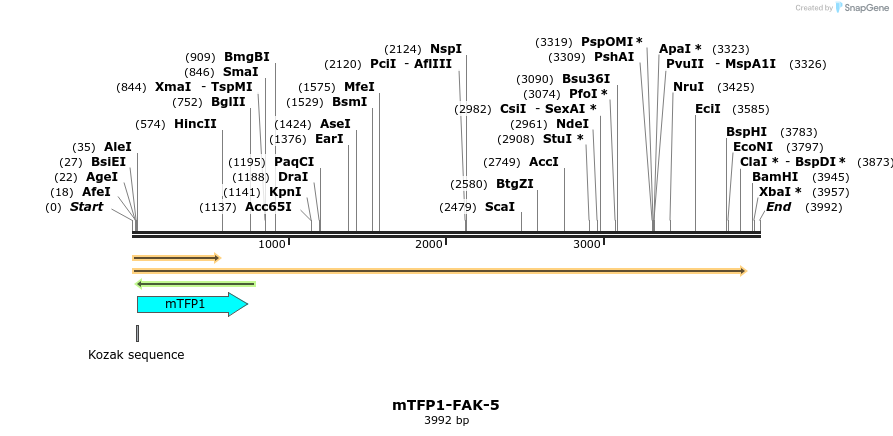 85890_map