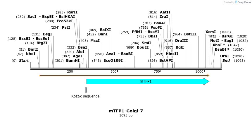 85892_map