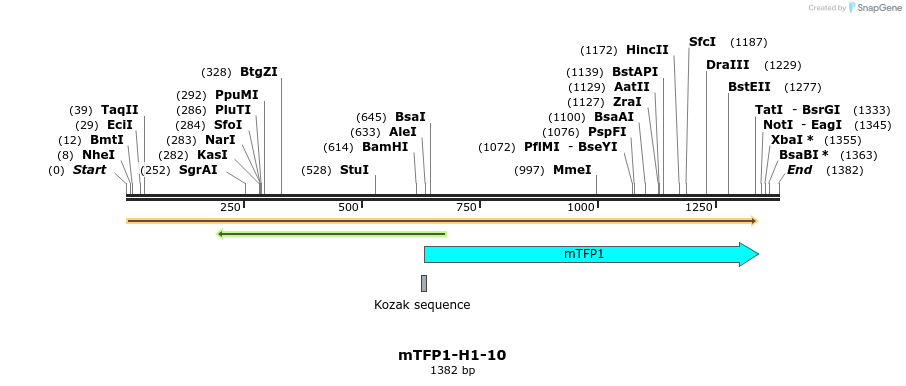 85893_map