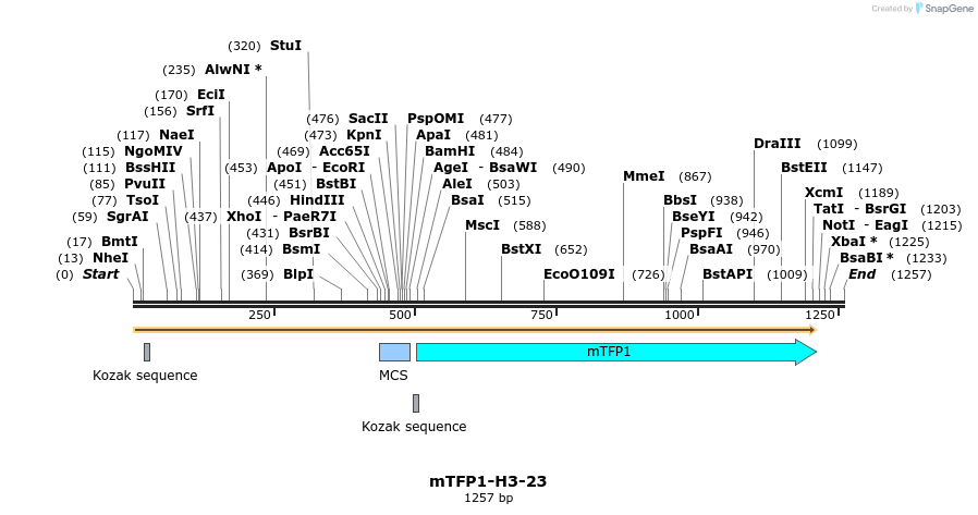 85895_map