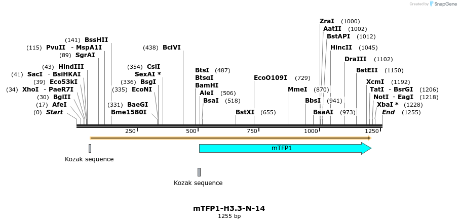 85896_map