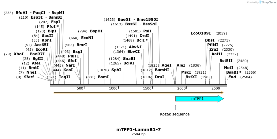85898_map