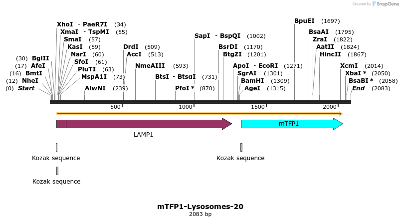 85901_map
