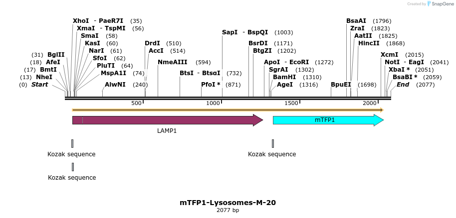 85902_map