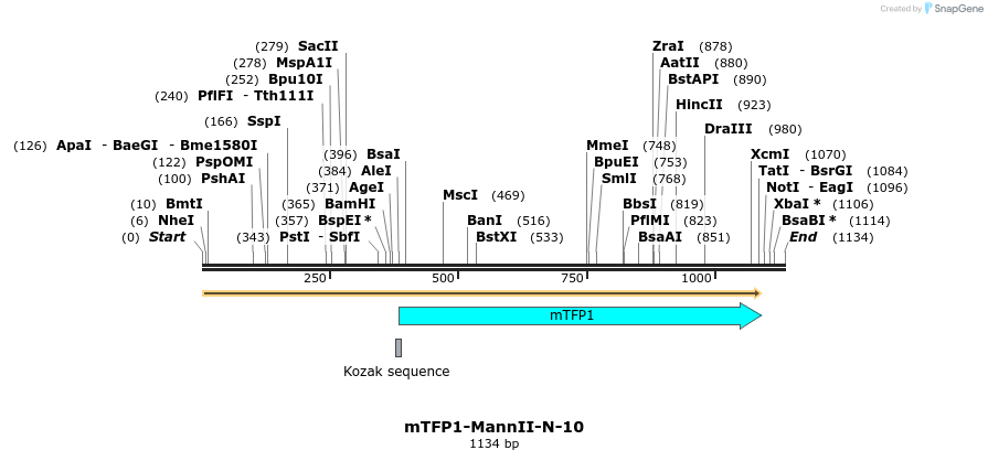 85903_map
